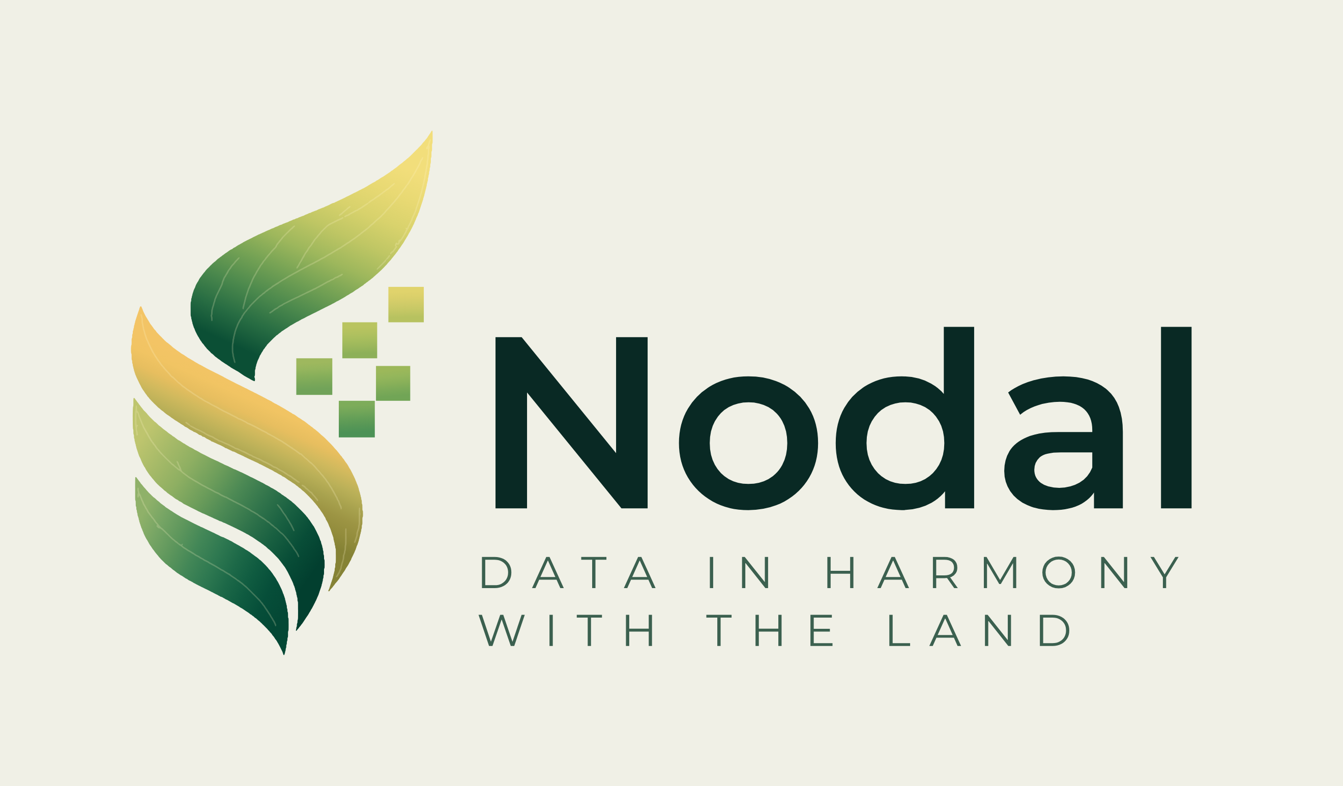Logo NodalTrace